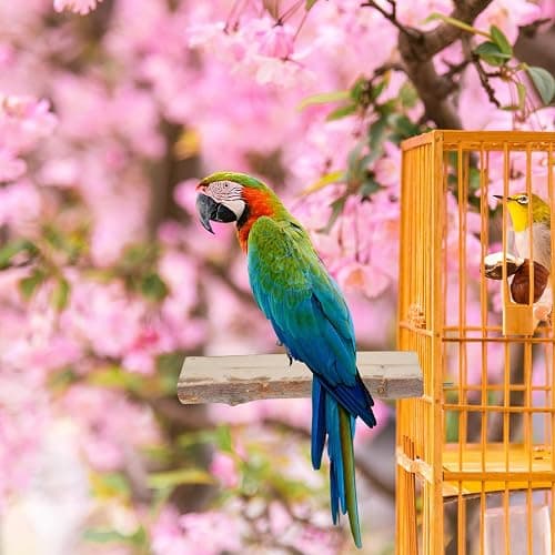 5 Pieces Wood Bird Perch, Natural Wooden Parrot Perches Stand Toys,Practical Hanging Multi-Branch Perch Platform Hammock Swing Toy,Bird Cage Accessories for Macaws Parakeets Conures Budgies Finches thumbnail 7