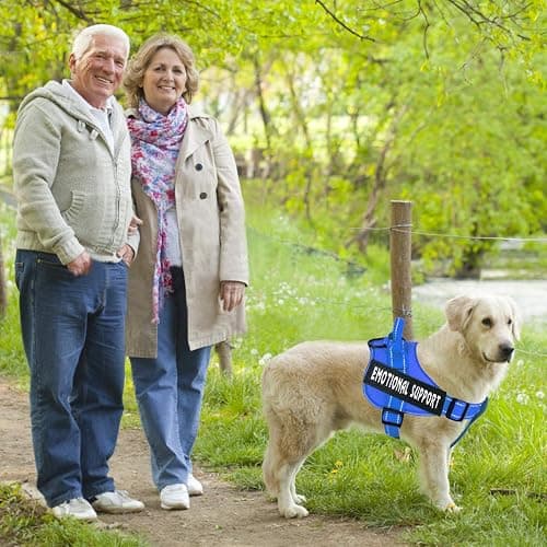 voopet Service Dog Harness, Emotional Support Pet Vest Harness, Reflective Breathable and Adjustable No-Pull ESA Dog Harness for Small Medium Large Dogs (with 4 PCS Removeable Tags) thumbnail 5