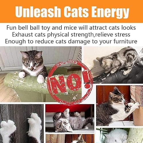 21 Pcs Cat Toys for Indoor Cats Collapsible Cat Tunnel Interactive Feather Teaser Wand Ball Toy for Kitten Cats thumbnail 7