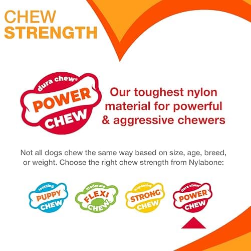 Nylabone Power Chew Original Bone Dog Toys, Chicken & Bacon Flavor, 2 Count | Large breeds, durable chew toys, discourages destructive chewing, long lasting, flavor throughout, for dogs up to 50 pounds thumbnail 5