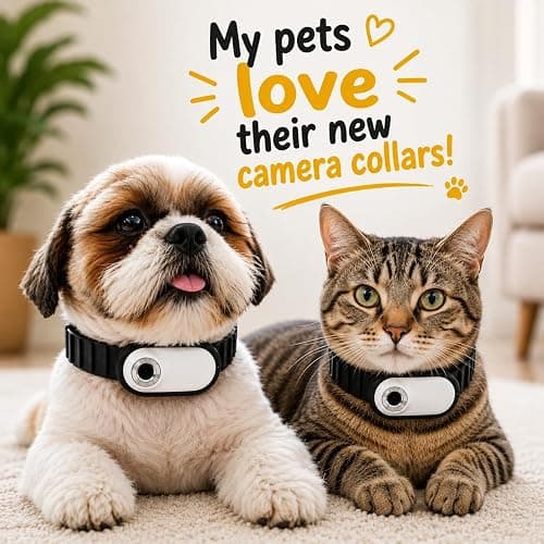 TOYDYLAN Cat Collar Camera for Cats thumbnail 7