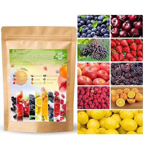 1200+ Mix Fruit Seeds Berry Seeds for Planting (9 Varieties) Heirloom Strawberry Raspberry Mulberry Apple Orange Blueberry Lemon Elderberry Cherry Seed for Home Garden - Image 1
