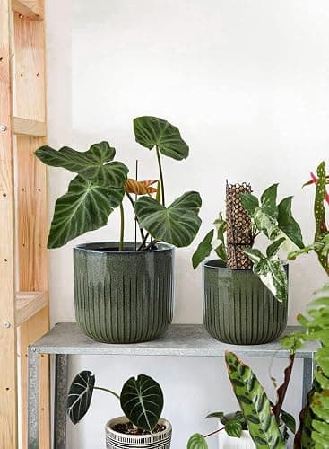 LE TAUCI Fluted Ceramic Planters Set of 3 – 8.3 / 7 / 5.7 in Dark Olive Reactive Cylinder Indoor Plant Pots with Drainage Plug & Mesh, Glossy Stoneware Flower Pots for Succulents Herbs - Reactive Glaze Dark Olive thumbnail 8