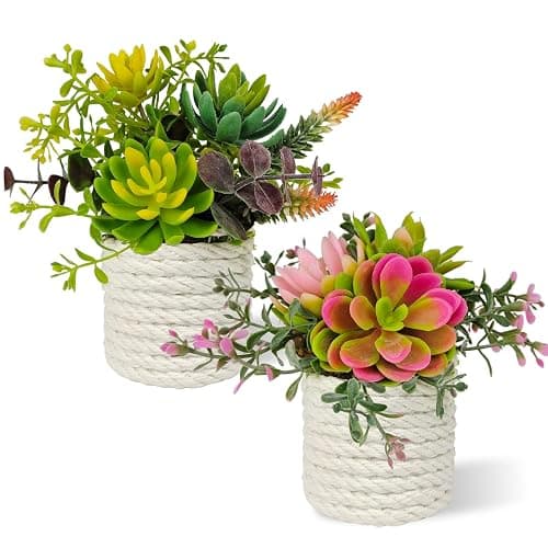 FOUSUKA Set of 2 Fake Succulents Plants Artificial Small Succulent Plants Potted for Home Decor Indoor Table Living Room Bedroom Bathroom Shelf Women Office Desk Accessories Decoration (Green) - Image 1