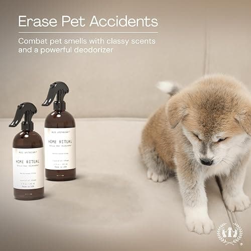 Muse Apothecary Home Ritual Active Odor Eliminator Spray - Furniture Deodorizer Spray & Bathroom Odor Eliminator for Home - Essential Oil Air Freshener - 4oz, Lavender Fields thumbnail 5