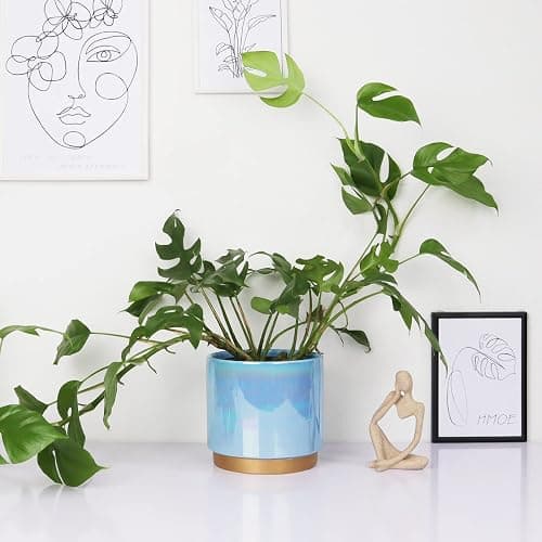 Gepege Ceramic Pots for Plants, Rainbow Pearl Glaze Planter with Drainage Hole, 6.0 inch+5.0 Inch+4.0 Inch. Indoor-Outdoor Large Round Succulent Orchid Flower Pot - 6+5+4inches - Blue thumbnail 7