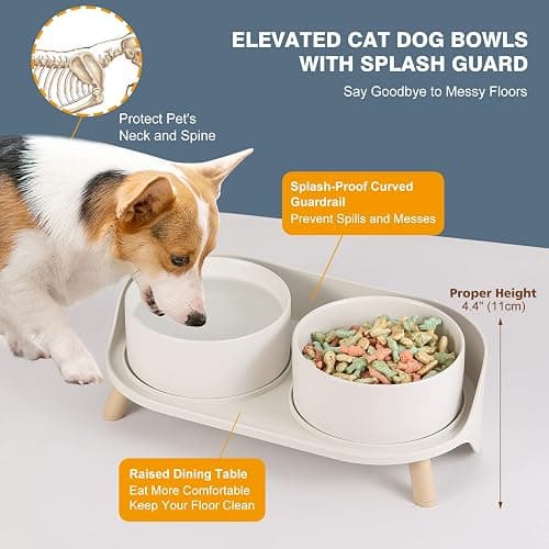Elevated Ceramic Dog Bowl Set - Double Dog Feeding Bowls with Stand Splash Proof - Raised Dishes for Food and Water - Ideal for Small to Medium Dogs - 2 x 850 ml - 28.74 oz thumbnail 3