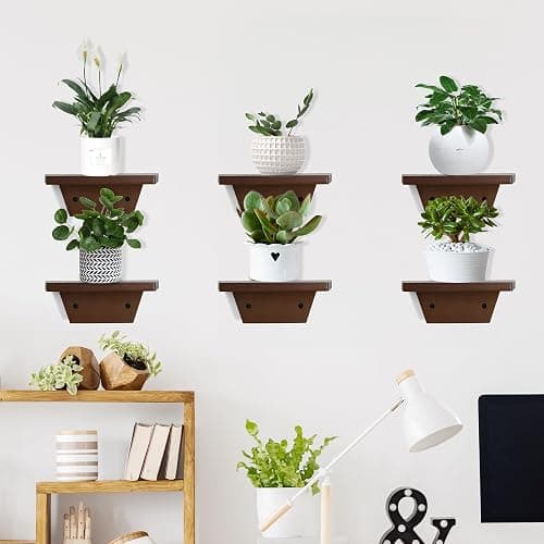 PHOENANCEE Small Floating Shelves,Trapezoid Wall Shelf for Speaker Table Lamp Plants Display,Decorative Wood Ledges Chic for Living Room,Bedroom,Kitchen,Office,Pine,8x6 Inch,2 Pack(Walnut) thumbnail 5