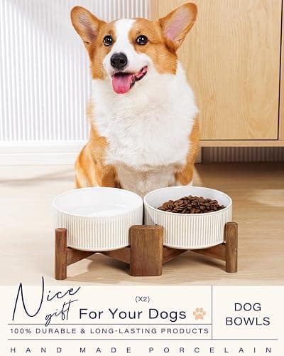 Getstar Ceramic Dog Bowls Set with Acacia Wood Stand, 3.5 Cups Pet Bowls Set of 2 for Medium Dogs, Cute Dog Food Bowl, Cat Bowls thumbnail 3