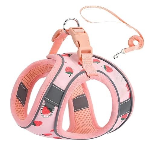 Step in Dog Harness and Leash Set, Flower Adjustable Easy Walk Puppy Harnesses, Soft Mesh No Pull Pet Vest Harness for Small Medium Dogs(Strawberry, S) - Image 1