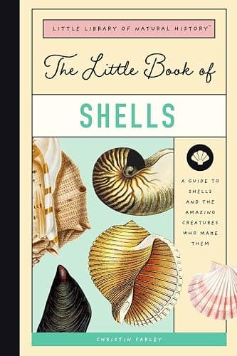 The Little Book of Shells: A Guide to Shells and the Amazing Creatures Who Make Them - Image 1