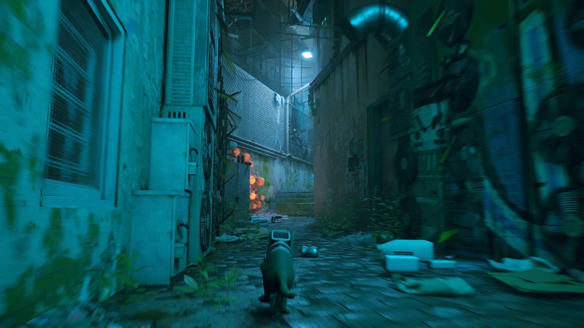 Skybound Stray for Xbox One and Series X thumbnail 11