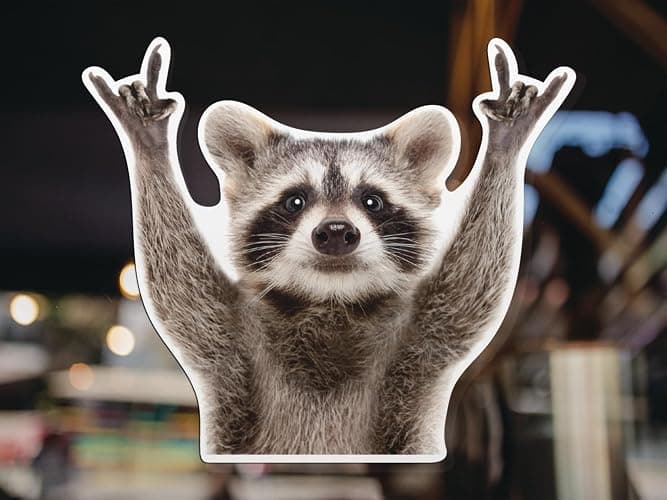 Rocking Raccoon Sticker, Funny Raccoon Cute Car Decal 5.5-Inches Decal Car Laptop Wall Window Bumper Sticker AWPS109 thumbnail 4