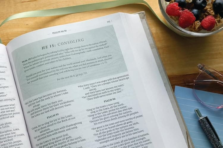 Flourish: The NIV Bible for Women, Cloth over Board, Cream, Comfort Print thumbnail 7
