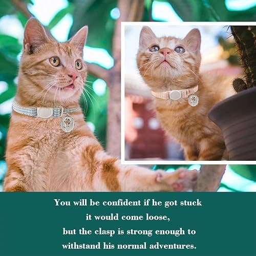 Breakaway cat collar two pack pink and blue thumbnail 7