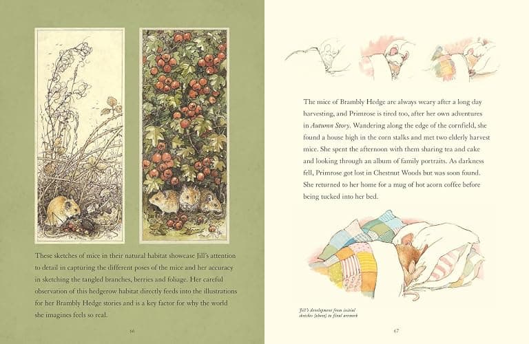 A Visit to Brambly Hedge: An illustrated companion to the world of Brambly Hedge, perfect for collectors and fans of Jill Barklem! thumbnail 5