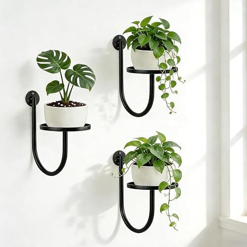 XNGZY Wall Planters for Indoor Plants, 3 Pack Wall Mounted Plant Holder, Metal Plant Floating Decor Shelves, Space Saving, for Bedroom, Living Room, Kitchen, Office, Bathroom Decor - Image 1