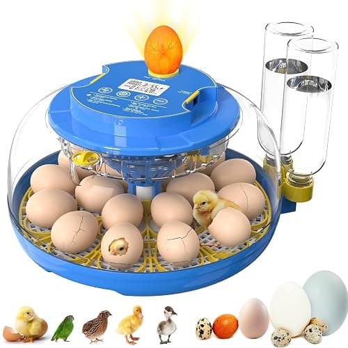 Incubators for Hatching Eggs,18 Egg Incubator with Automatic Egg Turning and Humidity Control,Egg Candler,Air Vent,360° Viewing for Chicken,Duck Eggs,Ideal for Farm,Classroom,Home Use - Image 1