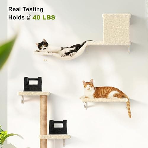 FUKUMARU Cat Wall Shelves, Stable & Safe 4 in 1 Large Cat Walls Furniture Set, Wooden Kitten Climbing Wall with Scratching Post for 16 Inch Drywall - Beige thumbnail 4