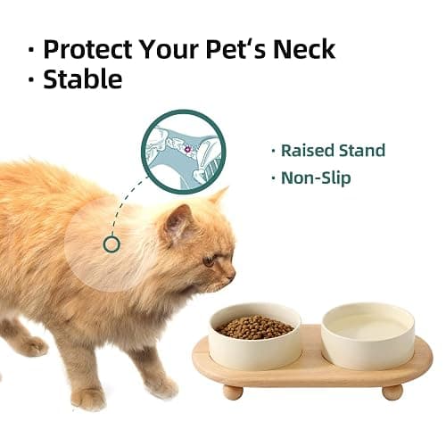 Havniva Raised Cat Bowls Water Bowl 5.1” Elevated Ceramic Cat Food and Water Bowl Whisker Friendly Pet Food Bowls for Indoor Cats, Wide Cat Water Dish Prevent Whisker Fatigue Non Slip Cat Feeder thumbnail 5