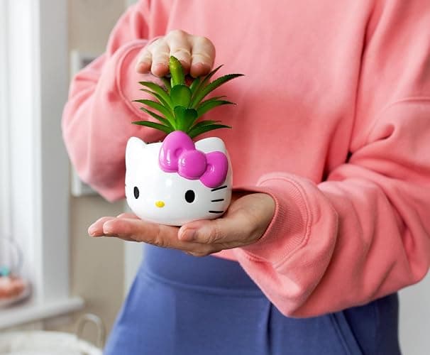 Silver Buffalo Sanrio Hello Kitty Face 3-Inch Ceramic Mini Planter with Artificial Succulent thumbnail 5