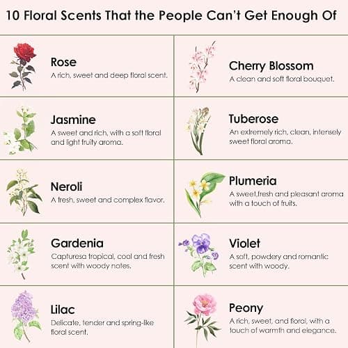 Floral Essential Oils, INWICOPH Flower Fragrance Oil for Candle Making - Rose, Jasmine, Gardenia, Lilac, Plumeria, Peony and More, Aromatherapy Oils for Diffusers for Home thumbnail 4