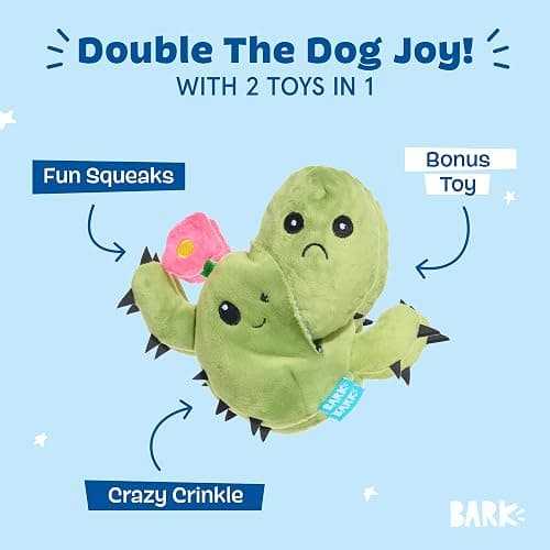 Barkbox Consuela The Cactus 2-in-1 Interactive Plush Dog Toy - Squeaky Dog Chew Toy with Crinkle Layers - for Large Dogs and Puppies thumbnail 2