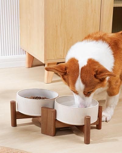 Getstar Ceramic Dog Bowls Set with Acacia Wood Stand, 3.5 Cups Pet Bowls Set of 2 for Medium Dogs, Cute Dog Food Bowl, Cat Bowls thumbnail 6