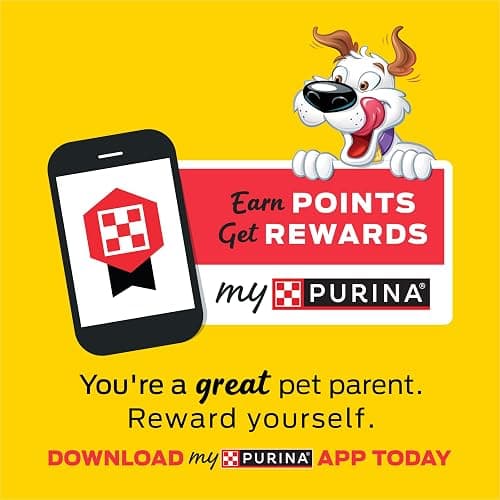 Purina Beggin' Strips With Real Meat Dog Training Treats With Bacon and Cheese Flavors - (Pack of 2) 26 oz. Pouches thumbnail 4