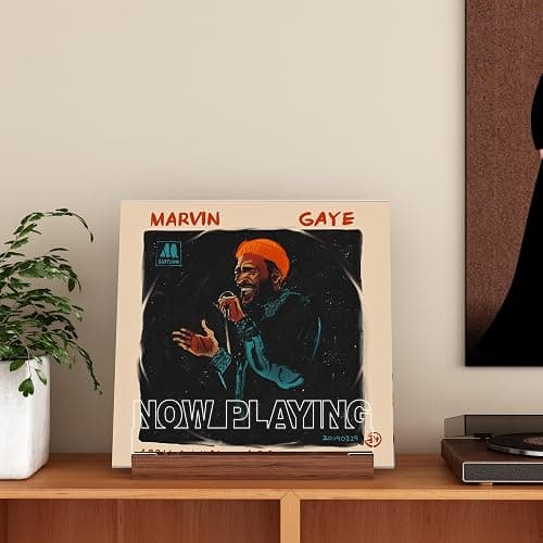 Now Playing Vinyl Record Stand up thumbnail 3