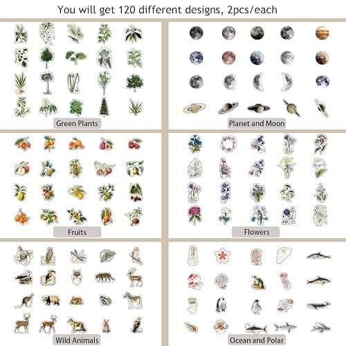 NOGAMOGA Nature Themed Transparent Pre-Cut Stickers for Scrapbooking, Pack of 240, Flora and Fauna Vintage Aesthetic Decorative Decals for Journaling Photo Album Collage Card Making Crafts thumbnail 6