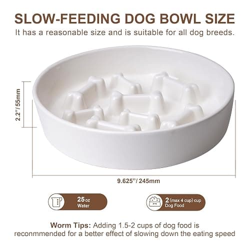 Fancy Lemon Ceramic Slow Feeder Dog Bowls, Ceramic Slow Feeder Maze Dog Food Bowl, Slow Eating Dog Bowl and Slow Feeder Dog Bowl Anti-Choking for Daily Pet Feeding （White Bone） thumbnail 2