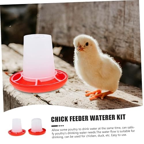 IMIKEYA 1 Set Quail Feeder Chick Feeder Quail Waterer Small Chick Feeder Poultry Chicken Water Jar Poultry Water Bucket Automatic Poultry Water Feeder Poultry Feeding Equipment Feeding Cup thumbnail 8