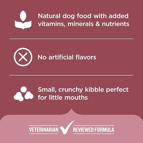 Nutrish Small Breed Dry Dog Food with Chicken, 5 lb. Bag (Rachael Ray) | Suitable for Small Adult Dogs, Veterinarian Reviewed Formula, Made with No Artificial Flavors thumbnail 5