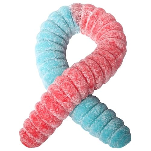 The Gummy Bear Guy | SOUR World's Largest Gummy Worm | Cherry/Blue Raspberry (Cherry/Blue Raspberry) - Image 1