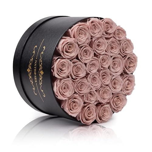 NATROSES 27 Piece Forever Preserved Roses in a Box, Preserved Flowers for Delivery Birthday, Flowers Gifts for Mothers Day, Dusty Pink thumbnail 3