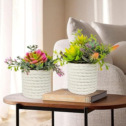 FOUSUKA Set of 2 Fake Succulents Plants Artificial Small Succulent Plants Potted for Home Decor Indoor Table Living Room Bedroom Bathroom Shelf Women Office Desk Accessories Decoration (Green) thumbnail 2