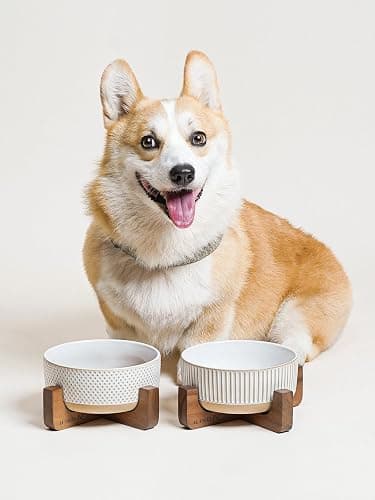 LE TAUCI PET Ceramic Dog Bowls for Medium Small Dogs - 4 Cup Medium Dog Food and Water Bowls with Wood Stand, Cute Pet Dishes Set of 2, Lines+Dot thumbnail 6