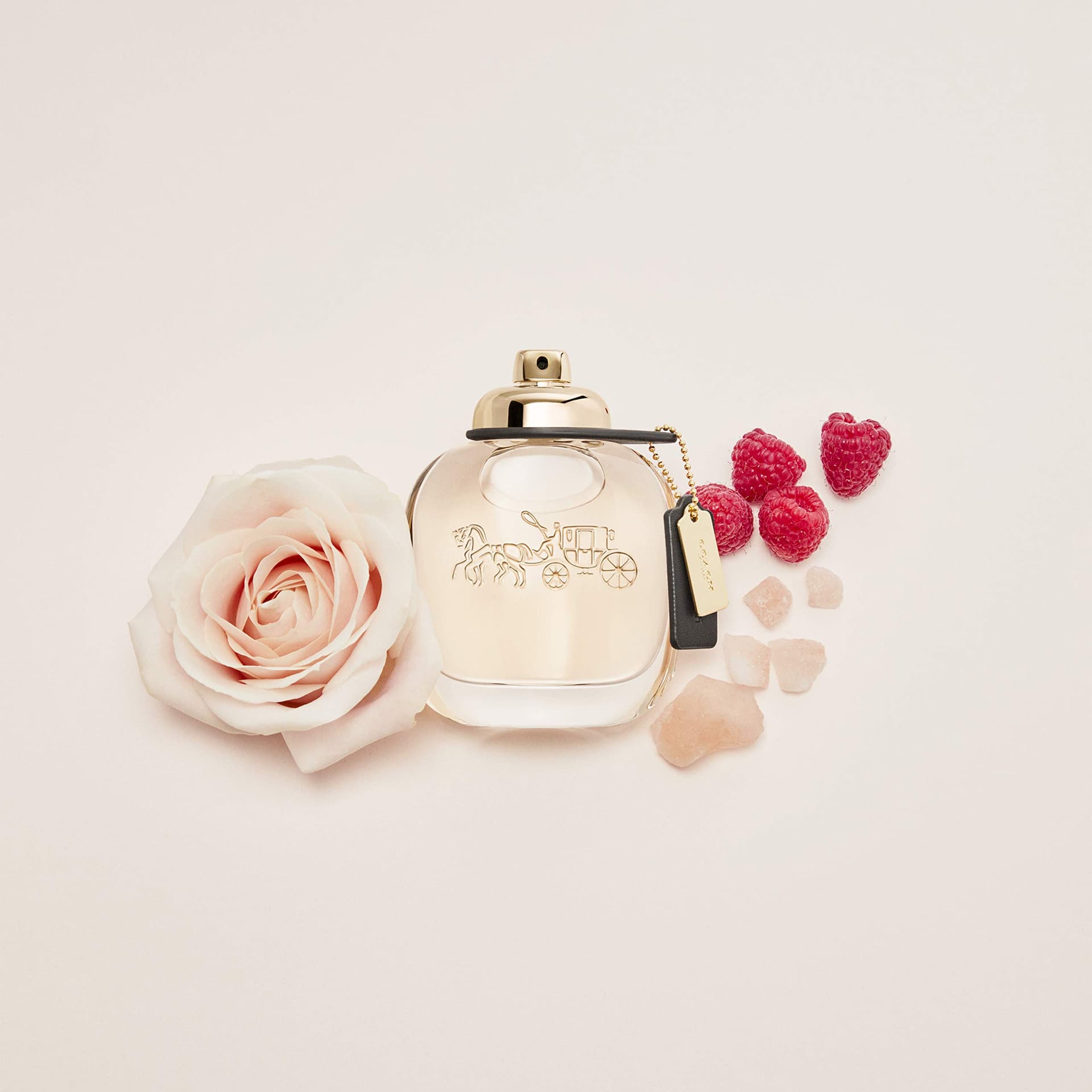 Coach Coach New York for Women EDP Spray 3 oz thumbnail 3