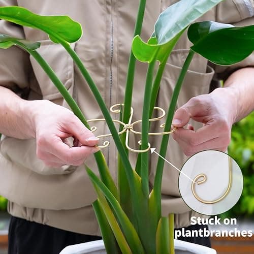 Goooxim 5PCS Monstera Plant Stem Support Hook - 6.5 * 6.5IN Durable Metal Stem Stabilizer for Monstera Plants and Fishbone Cactus - Gentle Protection Leaf Holder - Easy Installation - 5 Piece Set thumbnail 5