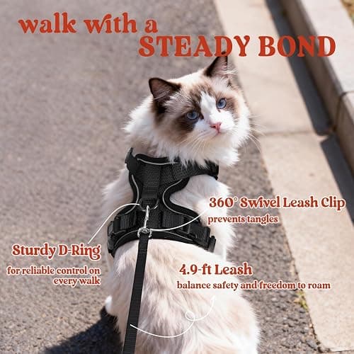 rabbitgoo Cat Harness and Leash for Walking, Escape Proof Soft Adjustable Vest Harnesses for Cats, Easy Control Breathable Reflective Strips Jacket, Black, S thumbnail 5