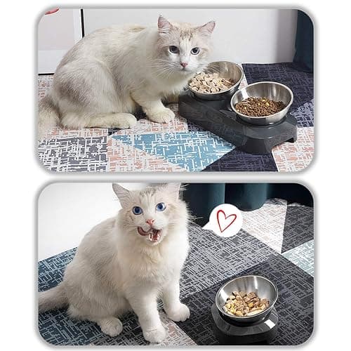 AYADA Raised Cat Food Bowl, Stainless Steel Cat Dish for Food Water Anti Vomiting Elevated with Stand Ergonomic Lifted Slanted Tilted 15 Angle Metal Single Kitty Kitten Wet Food Bowl Pet Bowl thumbnail 7