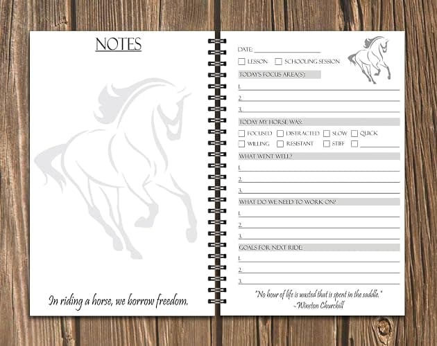 Horseback Riding Journal – Track Lessons, Goals & Progress | Equestrian Training Logbook for Girls, Women & Horse Lovers – 100 Pages, Spiral Bound, Perfect Horse Gift thumbnail 3