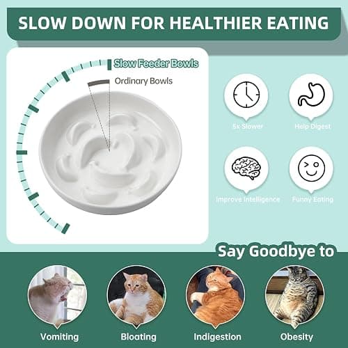 cat bowl slow feeder thumbnail 3