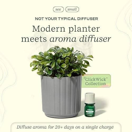 Lifelines Plant Diffuser with Modern Planter, Boxwood - Rechargeable Aromatherapy Diffuser, Artificial Faux Plants Home & Office - ClickWick Essential Oil Blend Included thumbnail 2