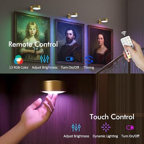 3-Pack Picture Lights for Wall, 13 RGB Color Changing Led Art Display Light with Rechargeable Battery Operated, Magnetic Painting Light with Remote Control, Wireless Home Wall Decorative Lighting thumbnail 5