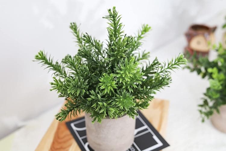 Der Rose 3 Pack Mini Potted Fake Plants Artificial Plastic Eucalyptus Plants Centerpieces for Table Home Office Desk Accessories Farmhouse Room Classroom Decor thumbnail 5
