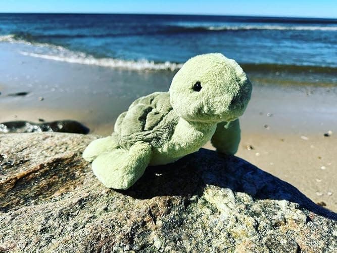 EASELR WeightedPlush Cute Turtle Stuffed Animals, 12" Soft Sea Turtle Plush Toy Tortoise Plushies Pillow Gifts for Kids Girlfriend Birthday Christmas Mother's Day thumbnail 6