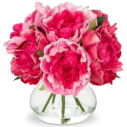 Hollyone Peonies Artificial Flowers with Vase Hot Pink Faux Flowers Peony Fake Flowers Silk Flower Arrangements in Glass Vase with Faux Water for Home Decor Bathroom Table Centerpiece Decorations - Peony, Hot Pink - Glass Vase