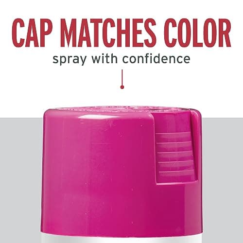 Rust-Oleum 347026 Stops Rust Spray Paint, 12 oz, Gloss Poppy Pink, 6 Pack, 2 Pack thumbnail 6